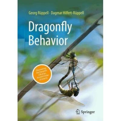 Dragonfly Behavior