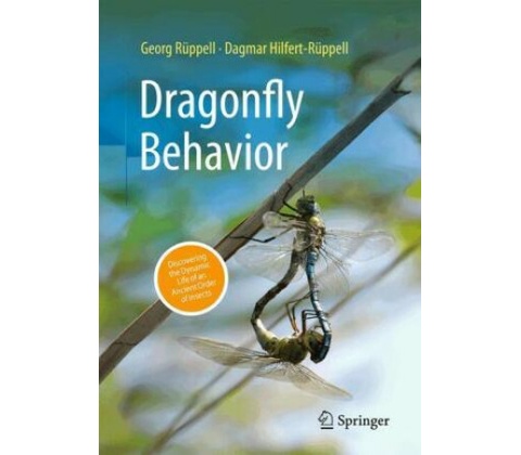 Dragonfly Behavior