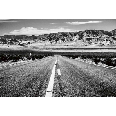 DIMEX ART Флизелинов фототапет дълга пустинна магистрала 375 x 250 см