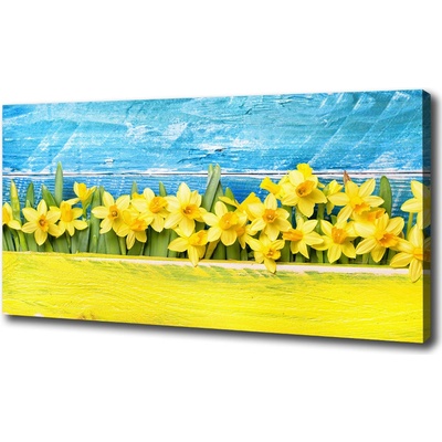 Foto obraz tlačený na plátne Narcisy 100x50 cm