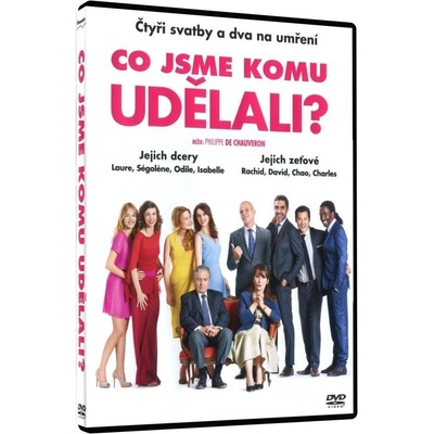 CO JSME KOMU UDĚLALI? DVD