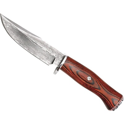 Muela Braco 11 DAM M