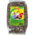 AVICENTRA Слънчоглед Avicentra райе 500g (722-3325)