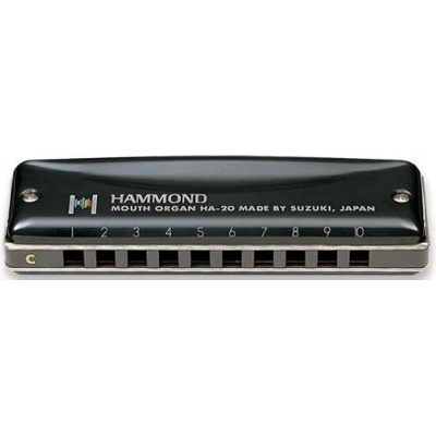 Suzuki HA-20 Promaster Hammond