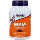 Now Foods MSM Methylsulfonylmethan 1000 mg 120 kapsúl