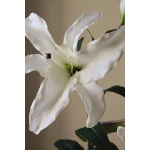 Botané Изкуствени цветя Декоративни 94 x 27 cm (BOT.WH.LIL.003)
