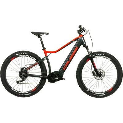 Crussis e-Atland 7.9 2024