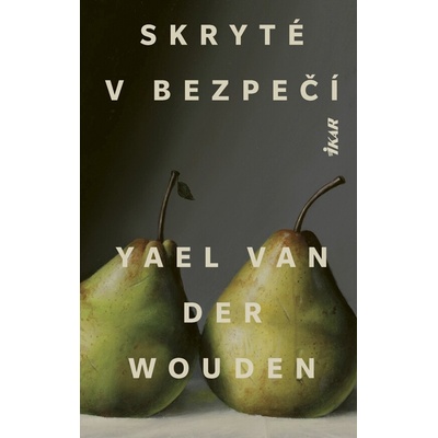 Skryté v bezpečí Yael van der Wouden