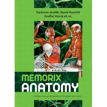 Memorix anatomy