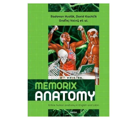 Memorix anatomy