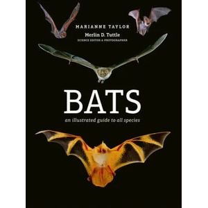 Bats | Marianne Taylor (ISBN: 9781782405573)