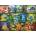 Ravensburger - Puzzle Beautiful Mushrooms - 1 000 piese