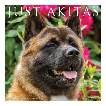 Willow Creek Press Akitas 2026 12 X 12 Wall Calendar