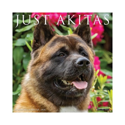 Willow Creek Press Akitas 2026 12 X 12 Wall Calendar | Willow Creek Press