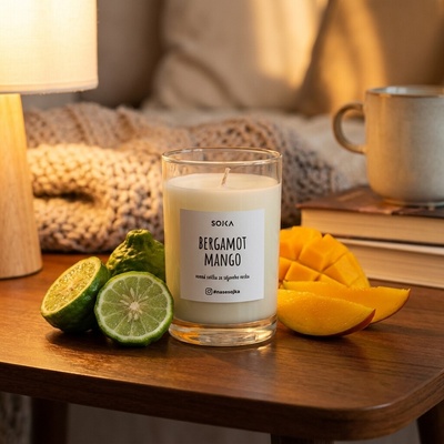 SOJKA Bergamot & Mango 80 g