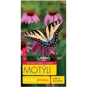 Motýli