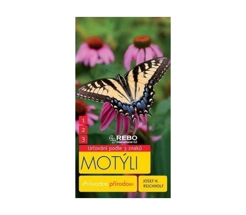 Motýli