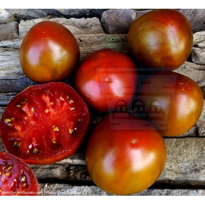 Семена от домати сорт "Бразилска Хубост" (Brazilian Beauty) 15 бр (295264)