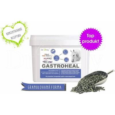 DROMY GastroHeal CONCENTRATE 3 kg