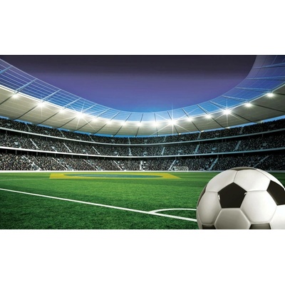 Postershop Fototapeta vliesová Fotbalový stadion 6 , rozměry 152,5x104 cm