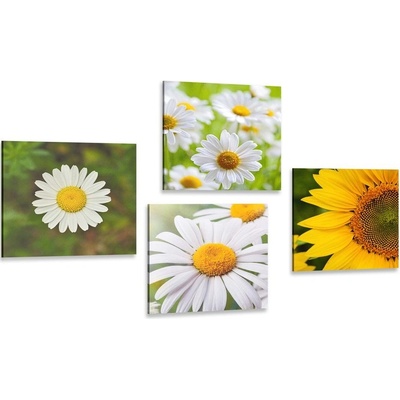 Set obrazů luční květiny - 4x 40x40