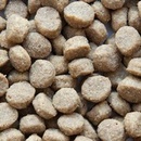 SPECIFIC CXD-S Adult Small Breed 1 kg