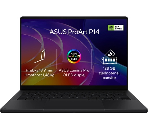 Asus ProArt P14 H7407BA-OLED022XZ