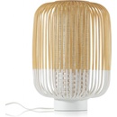 Forestier 20978