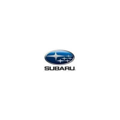 Subaru perleťová farba lakovateľná 1000 ml, riedenie 1:1