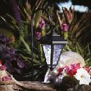 Garden of Eden 11236B