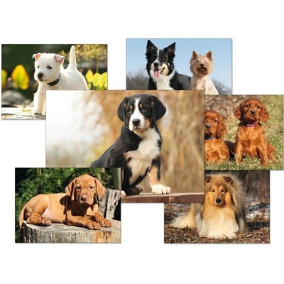 Pohlednice - psi / mix – Zboží Mobilmania