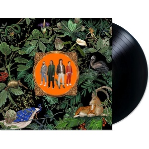 Nuclear Blast Don Broco: Amazing Things - Vinyl (LP) (049345)
