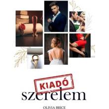 Kiadó szerelem