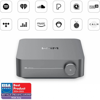 Linkplay WiiM Amp