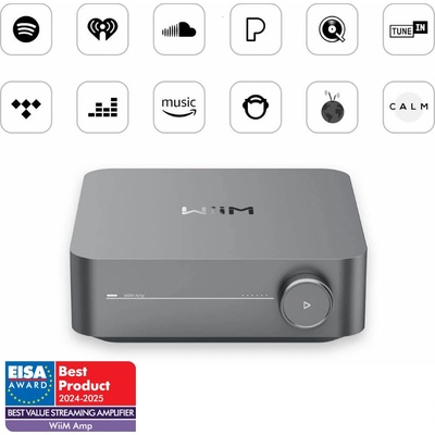 Linkplay WiiM Amp