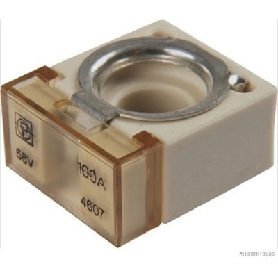Pojistka HERTH+BUSS ELPARTS 50295882