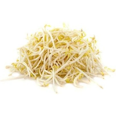 Biomiska Fazuľa Mungo semienka na klíčenie 250 g