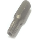Witte Torx T15