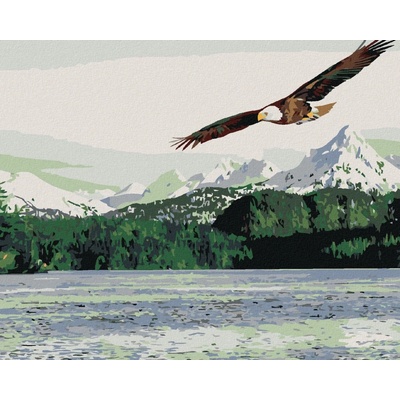 Zuty Malování podle číselMořský orel 100 x 80 cm vypnuté plátno na rám 8596530037552