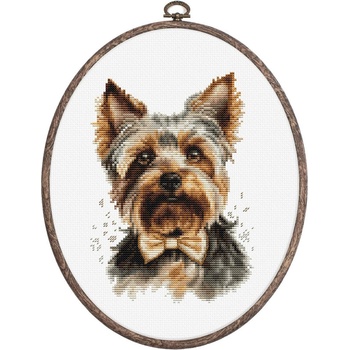 Luca-S Йоркширски териер - гоблен по схема с рамка bc228