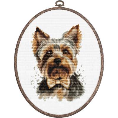 Luca-S Йоркширски териер - гоблен по схема с рамка bc228