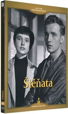 Štěňata (Digipack) DVD