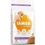 Iams Dog Puppy Large Chicken 3kg (1754-128061)