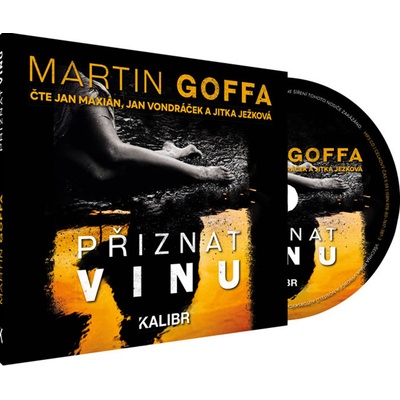 Přiznat vinu - Martin Goffa