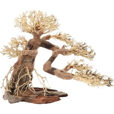 Dupla Bonsai L 40x20x30 cm – Zboží Dáma