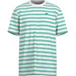 Maloja Мъжка тениска Maloja GriffinM. T-shirt - Polar Light Stripe (216-8883-0211)