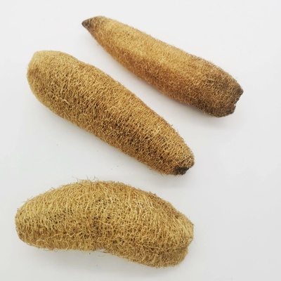 Lufa large natural 12 ks