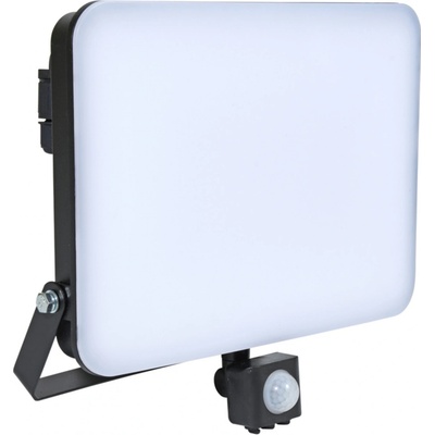 Ecolite RFL02-100W/PIR