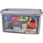 Kittfort Colorline® БОЯ КАЛЪРЛАЙН 13 НУГА 4КГ (675435678-К)