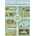 Ayyildiz Зелен детски килим 160x230 cm Play - Ayyildiz Carpets (PLAY1602302902GREEN)